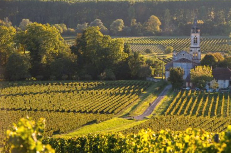 Vinfält St Emilion